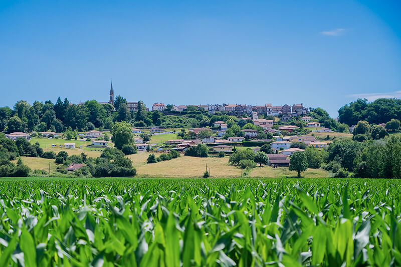 la ferme birouca au coeur de la chalosse