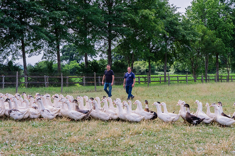 venez découvrir notre univers à la ferme birouca dans les landes